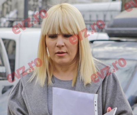 CIUTACU: De ce se tem toţi PROCURORII să judece dosarele ELENEI UDREA?