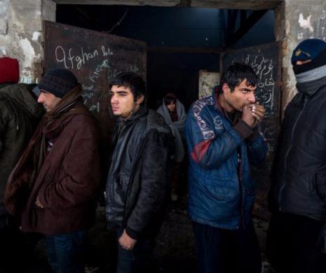 Cutremurător. Europa Occidentală, sub jihadul violatorilor afghani