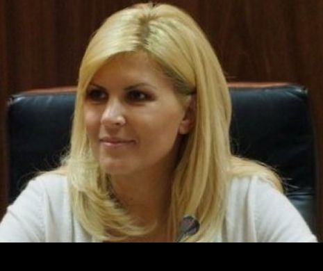De ce riscă Elena Udrea 20 de ani de închisoare! Motivarea magistraților
