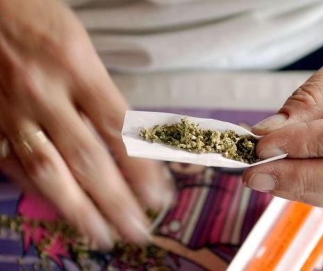 DIICOT: 47 de traficanţi de marijuana, trimişi în judecată. Membrii reţelei vindeau droguri elevilor de liceu