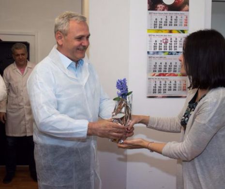 DOSARUL BRAZILIA! Iubita lui Liviu Dragnea va fi audiată de procurorii DNA
