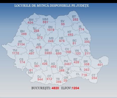 Ești șomer? Află unde poți găsi un loc de muncă în țară