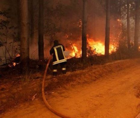 Încă o ȚARĂ este lovită de INCENDII. Regiunea VEZUVIU în pericol