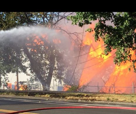 INCENDIU PE STADION. 80 de pompieri se luptă acum cu FLĂCĂRILE - News alert -