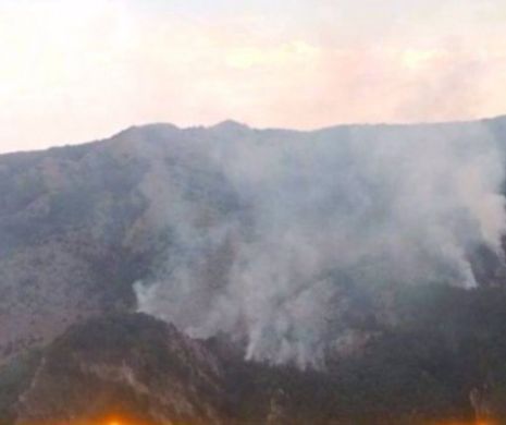 Incendiu URIAȘ în PARCUL NAȚIONAL Domogled! Peste 100 de de SALVATORI intervin în acest moment