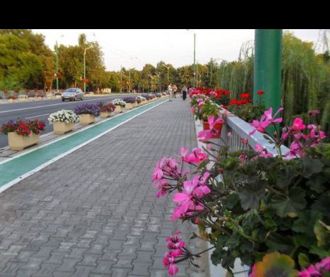 INCREDIBIL. Străinii se înghesuie să rupă florile de pe Podul Michelangelo. Din ce țări sunt cei prinși și sancționați