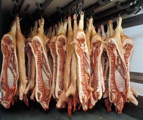 Nemţii renunţă la CARNEA de porc! Cel mai scăzut consum din ultimii 11 ani. Vezi de ce dau uitării porcul!