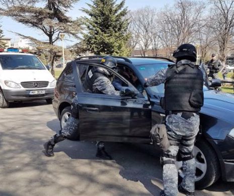 Percheziții în județul Argeș! Sunt VIZAȚI mai mulți proxeneți