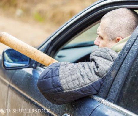 PERCHEZIȚII și CONFISCĂRI în mafia LEMNULUI și a VINULUI