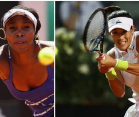 Se cunosc finalistele de la Wimbledon. DUEL DE ZILE MARI pe iarba londoneză