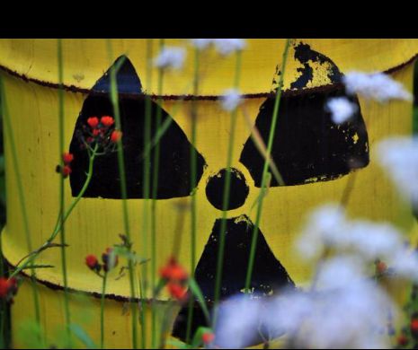 Substanțe RADIOACTIVE furate la Arad