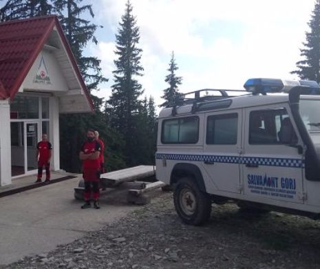 Tehnici de supraviețuire. Un urs carpatin a ținut trei turiști francezi sechestrați, într-un brad, o zi întreagă