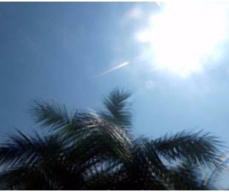 Valul de CĂLDURĂ a făcut cinci VICTIME în Bulgaria