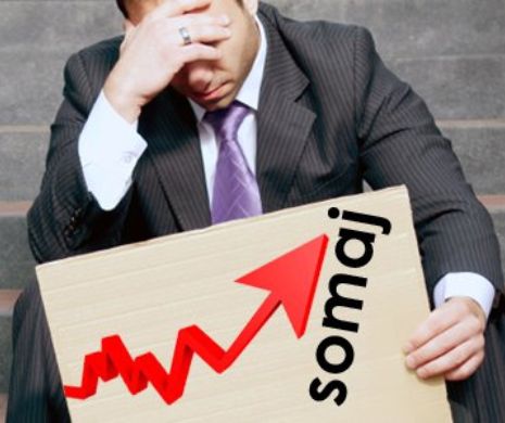 4.000 de locuri de muncă DISPONIBILE pentru ȘOMERII bucureșteni