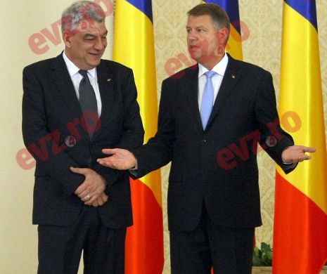 Apelul lui Tudose către românii din străinătate: Veniți acasă, aveți de ce să vă întoarceți!