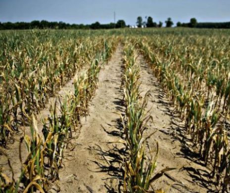 Declaraţie ŞOC a unui meteorolog din România!