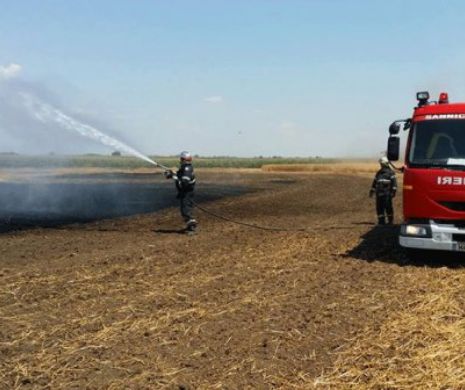 Incendiu DE PROPORȚII! 50 de hectare de miriște INCENDIATE