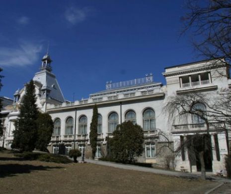 Panică pe Valea Prahovei! Mistreții au luat cu asalt Sinaia