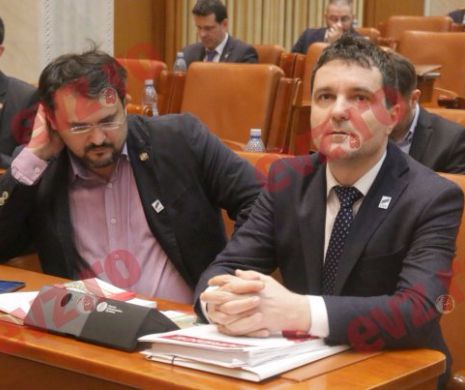 Primul referendum pentru REDEFINIREA FAMILIEI are loc săptămâna ACEASTA