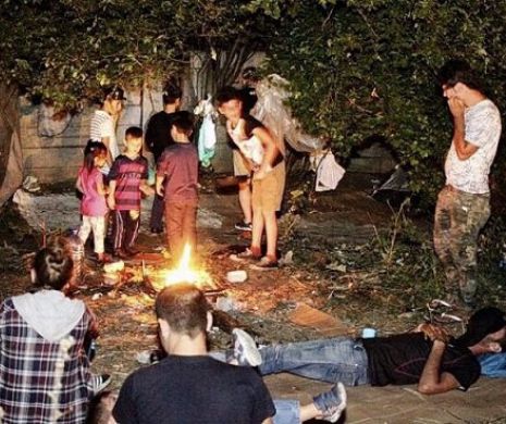 Tabăra clandestină a migranților de la Timișoara, DEMOLATĂ. A mai fost găsit un irakian