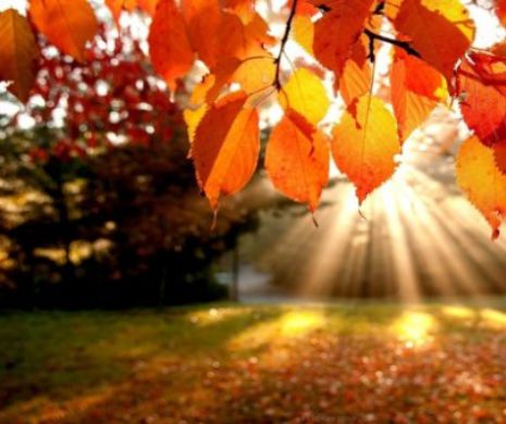 ALERTĂ METEOROLOGICĂ. Va fi CANICULĂ în SEPTEMBRIE