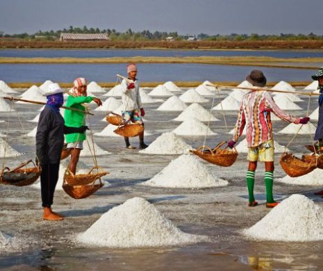 Atenție! Sarea DE MARE este contaminată cu PLASTIC