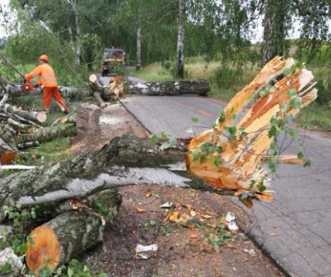 COD PORTOCALIU de fenomene meteo PERICULOASE în mai multe JUDEȚE