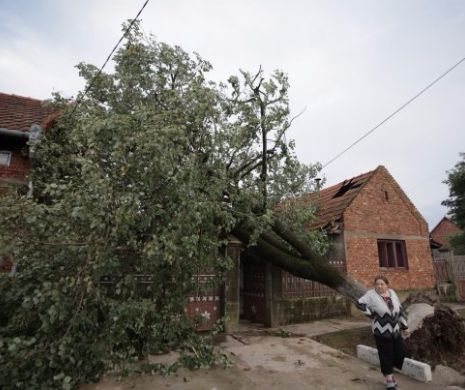 FURTUNA LOVEȘTE ROMÂNIA. Inundații, sute de copaci și acoperișuri SMULSE DE VÂNT. Pagube în peste 60 de localități