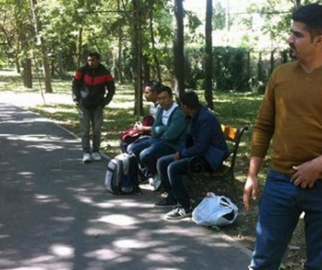 Imigranții ilegali din Timișoara își bat joc. VIDEO