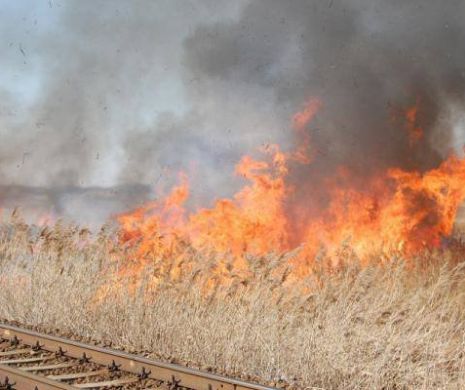 INCENDIU lângă CALEA FERATĂ. Patru TRENURI OPRITE între Predeal și Dârste