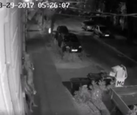 Judecătorii care au ELIBERAT un hoț, PERSIFLAȚI de INFRACTOR - VIDEO INCREDIBIL