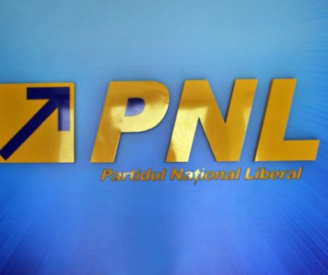 Lovitură pentru PNL. Un PRIMAR a fost săltat de polițiști ANTICORUPȚIE