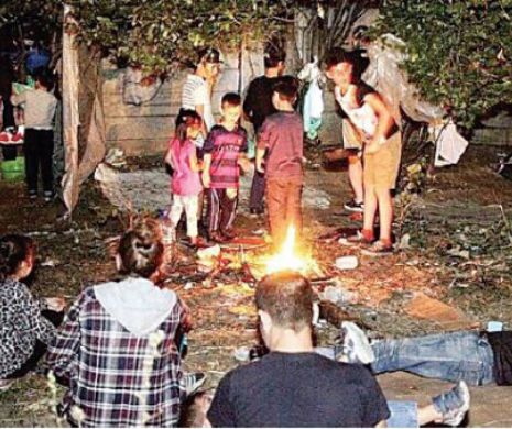 Migranții iau cu asalt Timișoara! Mint, fac mizerie și nu dau doi bani pe respectarea legilor și autorităților