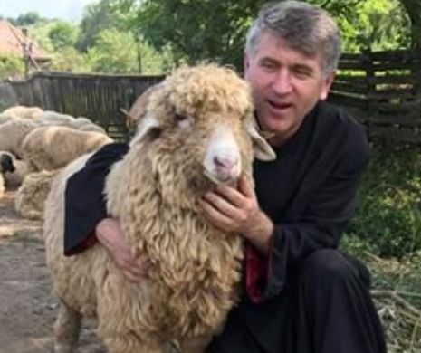 Noi acuzații dure la adresa lui Pomohaci! Acuzațiile sunt deosebit de dure și ar putea duce la un mandat de arestare
