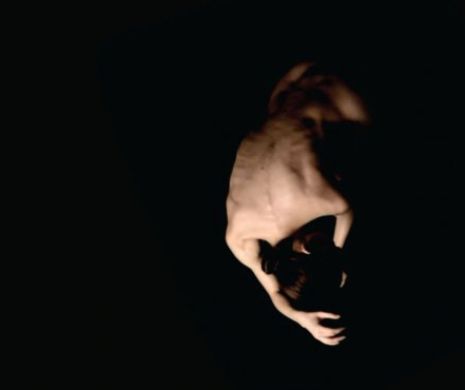 O franțuzoaică îi provoacă pe timișoreni să privească lumea cu ochi noi