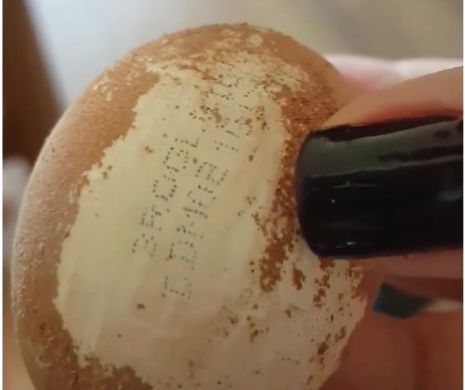 OTRAVA din MÂNCARE. OUĂ REVOPSITE și cu TERMENE SCHIMBATE vândute în România - VIDEO