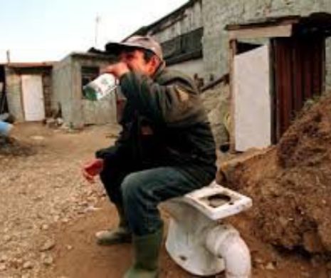 VASLUI. 80% din ţărani au buda în curte şi internet de mare viteză