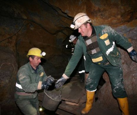 ABERAŢIILE din proiectul legii MINELOR