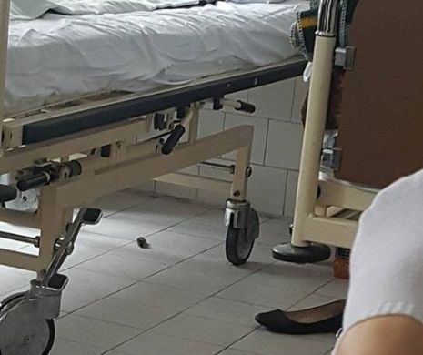 Apariție neplăcută într-un salon de spital. O viitoare mamă are ”coleg” de salon un șoricel