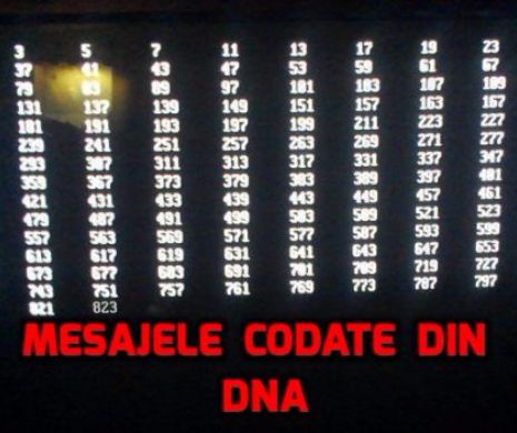 COD ROŞU la DNA. Mesajele CODIFICATE prin care SUSPECŢII comunicau cu PROCURORII