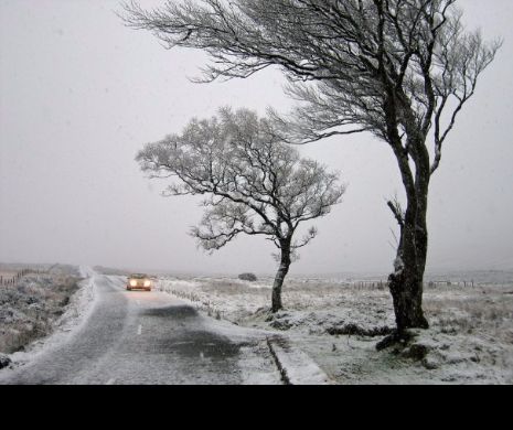 IARNA din OCTOMBRIE! COD PORTOCALIU și GALBEN de VÂNT PUTERNIC și NINSOARE