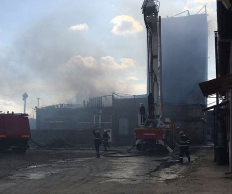 INCENDIU la FABRICA de PRĂJITURI. Un om a suferit ARSURI GRAVE