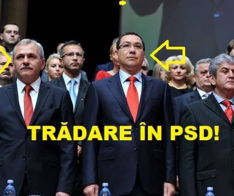 Marea trădare din PSD. CINE S-A DAT CU SERVICIILE? Lui Codrin Ştefănescu I S-A FĂCUT RĂU! Breaking news în politică