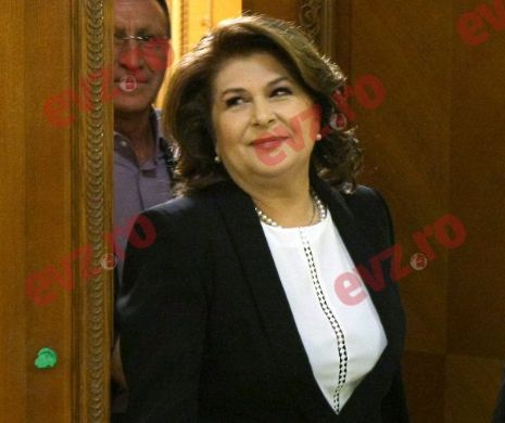 Parlament: DECIZIE în cazul Rovanei Plumb. CÂND va fi DEPUS RAPORTUL asupra solicitării DNA