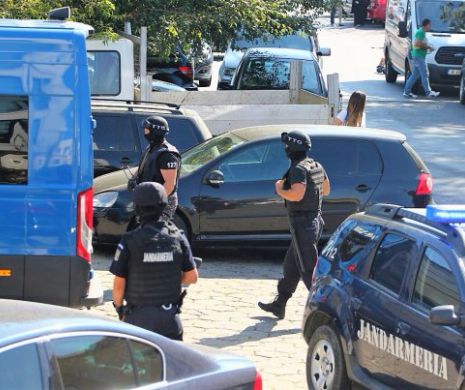 Poliția Economică în acțiune. Zeci de percheziții, arestări și bunuri, de milioane de lei, confiscate