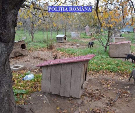 A fost găsită COMOARA UNUI INTERLOP CELEBRU! Mobilizare generală pentru zeci de poliţişti