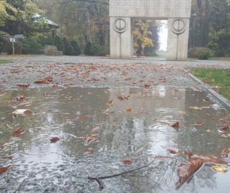 ALARMĂ! BRÂNCUŞI este făcut praf chiar la el ACASĂ