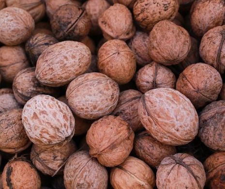 Au furat 1.500 kilograme de nuci