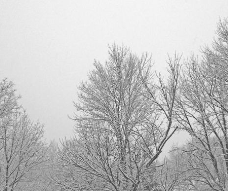 AVERTISMENT de ultimă oră de la METEOROLOGI! ALERTĂ de NINSORI, VÂNT ȘI LAPOVIȚĂ. Care sunt ZONELE VIZATE -News Alert!