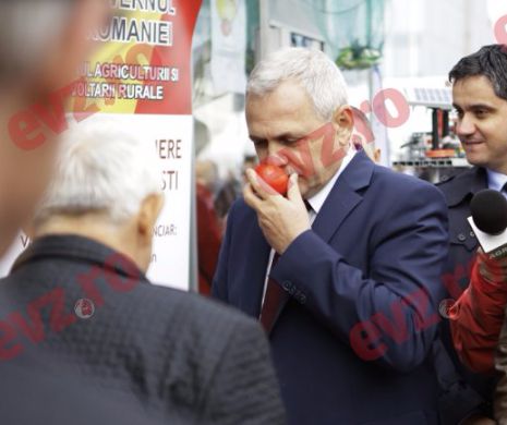 AVOCATA lui DRAGNEA va fi AUDIATĂ în COMISIA DE ANCHETĂ pentru alegerile PREZIDENŢIALE din 2009